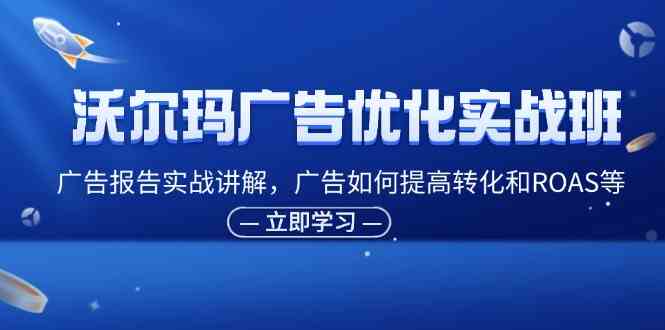 沃尔玛广告优化实战班，广告报告实战讲解，广告如何提高转化和ROAS等-生财有道