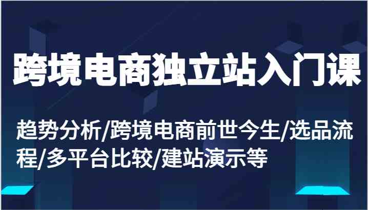 跨境电商独立站入门课：趋势分析/跨境电商前世今生/选品流程/多平台比较/建站演示等-生财有道