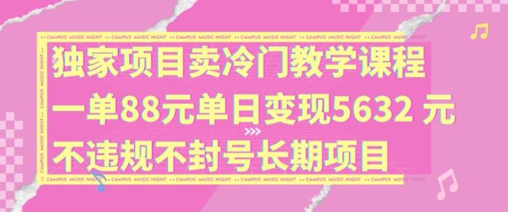 独家项目卖冷门教学课程一单88元单日变现5632元违规不封号长期项目【揭秘】-生财有道
