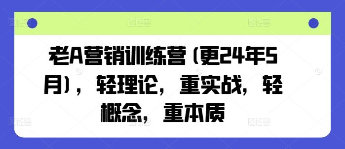 老A营销训练营(更24年7月)，轻理论，重实战，轻概念，重本质-生财有道