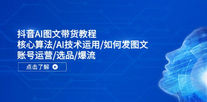 （11958期）抖音AI图文带货教程：核心算法/AI技术运用/如何发图文/账号运营/选品/爆流-生财有道