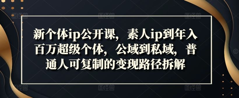 新个体ip公开课，素人ip到年入百万超级个体，公域到私域，普通人可复制的变现路径拆解-生财有道