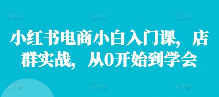 小红书电商小白入门课，店群实战，从0开始到学会-生财有道