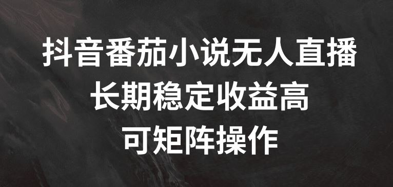 抖音番茄小说无人直播，长期稳定收益高，可矩阵操作【揭秘】-生财有道