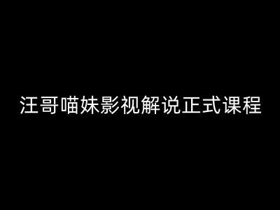 汪哥影视解说正式课程：剪映/PR教学/视解说剪辑5大黄金法则/全流程剪辑7把利器等等-生财有道