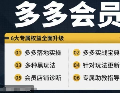 拼多多会员，拼多多实战宝典+实战落地实操，从新手到高阶内容全面覆盖-生财有道