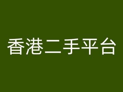 香港二手平台vintans电商，跨境电商教程-生财有道