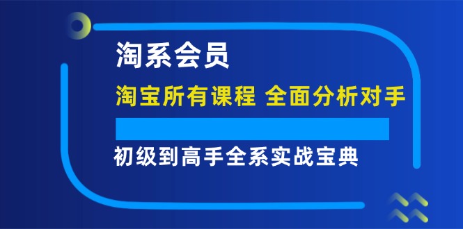 （12055期）淘系会员【淘宝所有课程，全面分析对手】，初级到高手全系实战宝典-生财有道