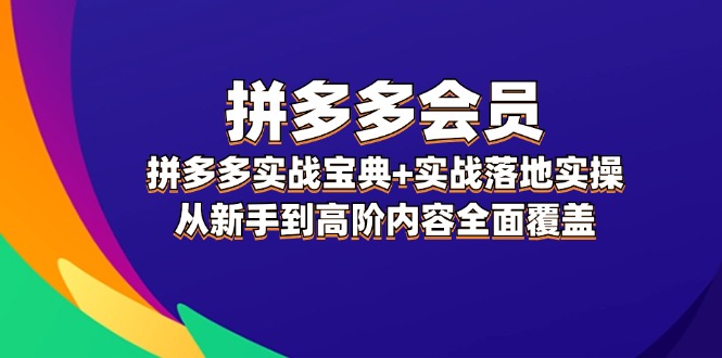 （12056期）拼多多 会员，拼多多实战宝典+实战落地实操，从新手到高阶内容全面覆盖-生财有道