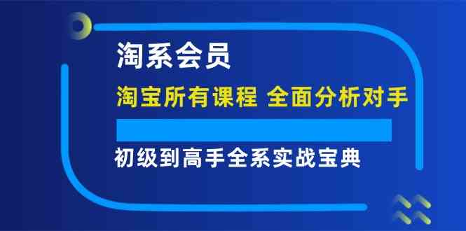 淘系会员初级到高手全系实战宝典【淘宝所有课程，全面分析对手】-生财有道