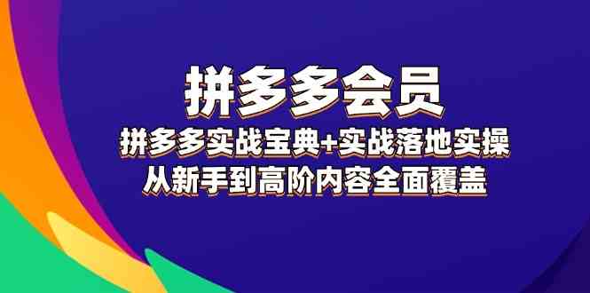 拼多多会员实战宝典+实战落地实操，从新手到高阶内容全面覆盖-生财有道