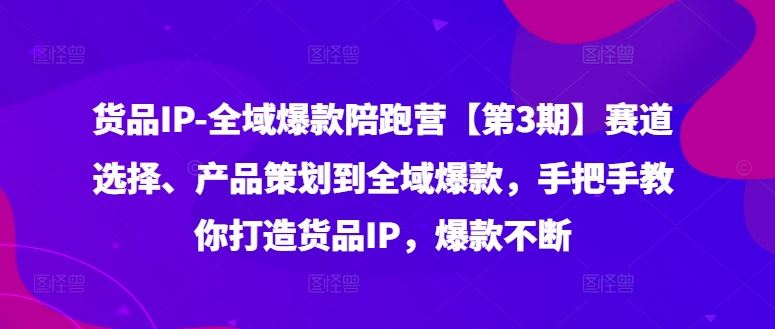货品IP全域爆款陪跑营【第3期】赛道选择、产品策划到全域爆款，手把手教你打造货品IP，爆款不断-生财有道