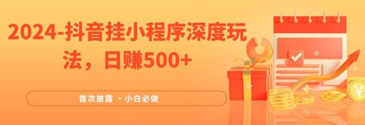 2024全网首次披露，抖音挂小程序深度玩法，日赚500+，简单、稳定，带渠道收入，小白必做【揭秘】-生财有道