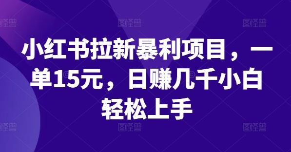 小红书拉新暴利项目，一单15元，日赚几千小白轻松上手【揭秘】-生财有道