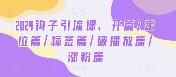 2024钩子引流课，开篇/定位篇/标签篇/破播放篇/涨粉篇-生财有道