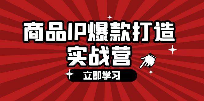 （12136期）商品-IP爆款打造实战营【第四期】，手把手教你打造商品IP，爆款 不断-生财有道