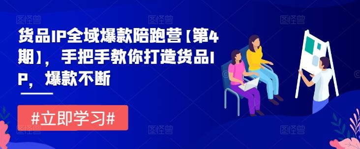 货品IP全域爆款陪跑营【第4期】，手把手教你打造货品IP，爆款不断-生财有道