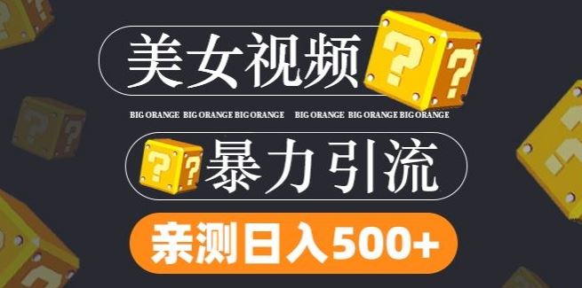 搬运tk美女视频全网分发，日引s粉300+，轻松变现，不限流量不封号【揭秘】-生财有道