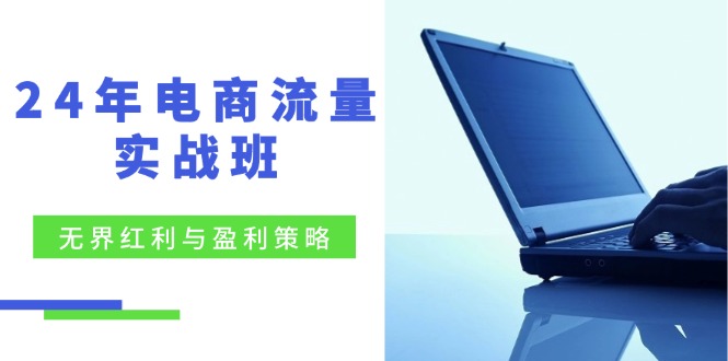 （12168期）24年电商流量实战班：无界 红利与盈利策略，终极提升/关键词优化/精准…-生财有道