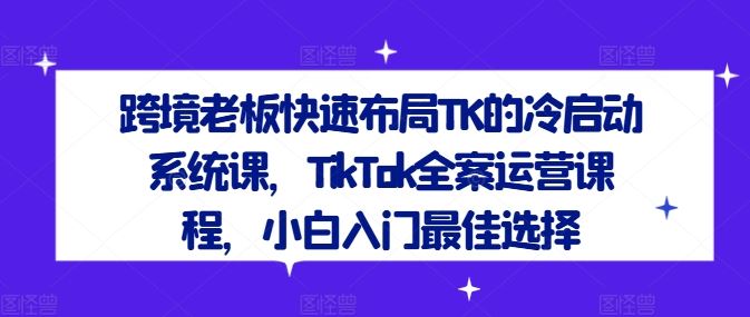 跨境老板快速布局TK的冷启动系统课，TikTok全案运营课程，小白入门最佳选择-生财有道