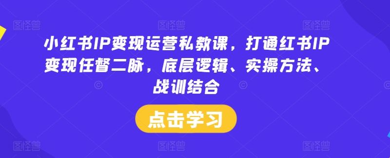 小红书IP变现运营私教课，打通红书IP变现任督二脉，底层逻辑、实操方法、战训结合-生财有道