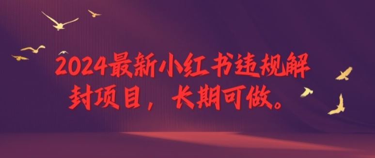 2024最新小红书违规解封项目，长期可做，一个可以做到退休的项目【揭秘】-生财有道