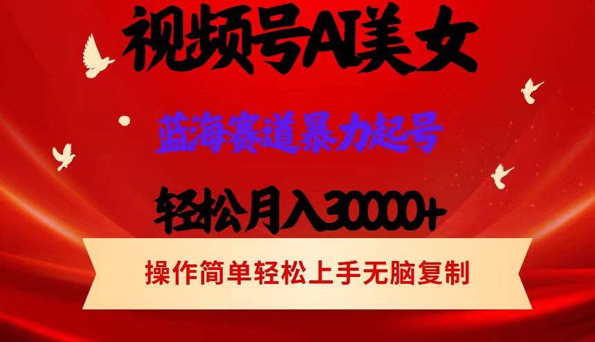 （12178期）视频号AI美女跳舞，轻松月入30000+，蓝海赛道，流量池巨大，起号猛，当…-生财有道