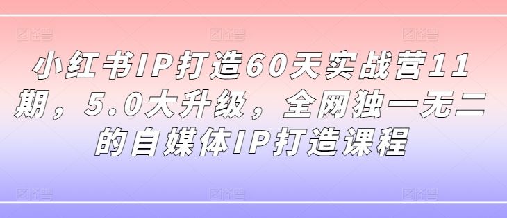 小红书IP打造60天实战营11期，5.0大升级，全网独一无二的自媒体IP打造课程-生财有道