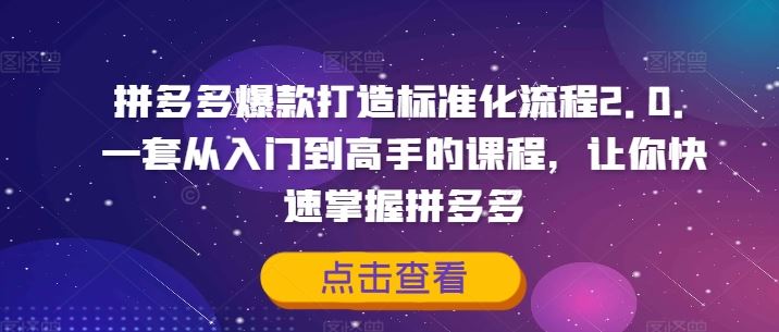 拼多多爆款打造标准化流程2.0，一套从入门到高手的课程，让你快速掌握拼多多-生财有道