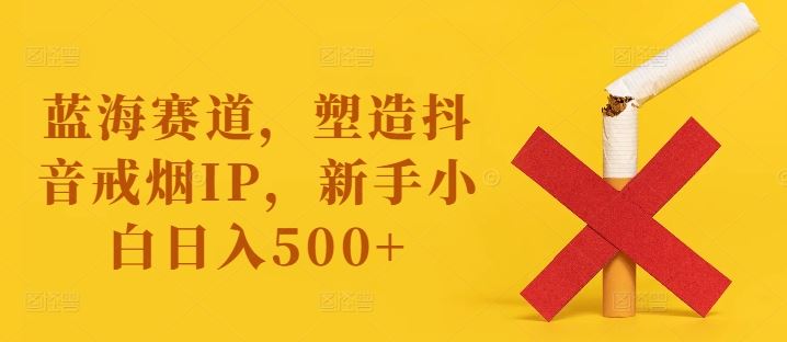 蓝海赛道，塑造抖音戒烟IP，新手小白日入500+【揭秘】-生财有道