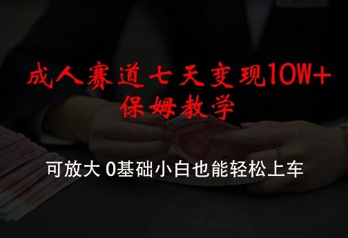 成人赛道七天变现10W+保姆教学，可放大，0基础小白也能轻松上车【揭秘】-生财有道
