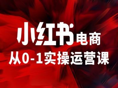 小红书电商从0-1实操运营课，让你从小白到精英-生财有道