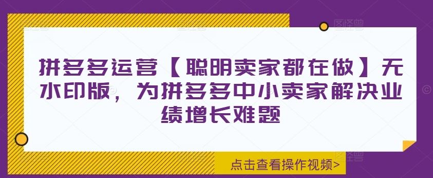拼多多运营【聪明卖家都在做】无水印版，为拼多多中小卖家解决业绩增长难题-生财有道