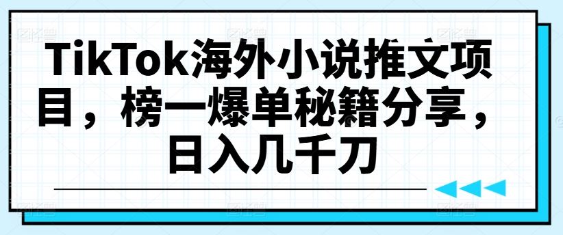 TikTok海外小说推文项目，榜一爆单秘籍分享，日入几千刀-生财有道