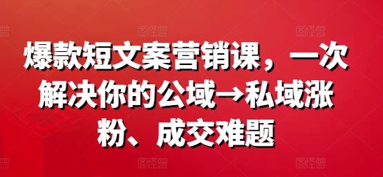 爆款短文案营销课，一次解决你的公域→私域涨粉、成交难题-生财有道