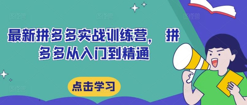 最新拼多多实战训练营， 拼多多从入门到精通-生财有道