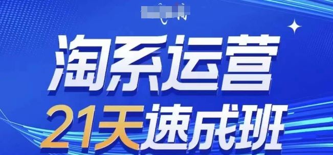 淘系运营21天速成班(更新24年8月)，0基础轻松搞定淘系运营，不做假把式-生财有道