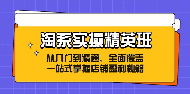 （12276期）淘系实操精英班：从入门到精通，全面覆盖，一站式掌握店铺盈利秘籍-生财有道