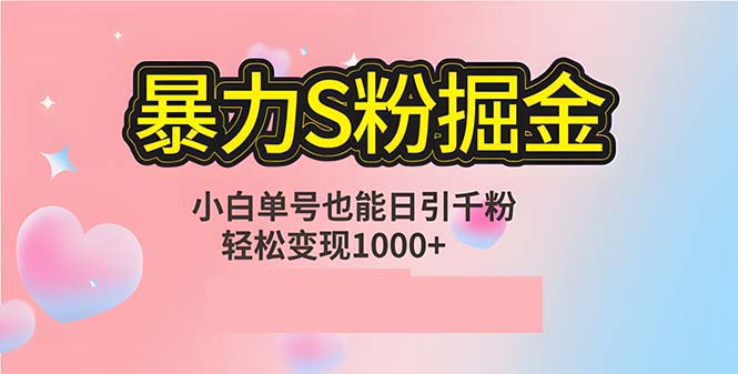 （12778期）单人单机日引千粉，变现1000+，S粉流量掘金计划攻略_生财有道创业项目网-生财有道