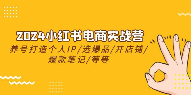 2024小红书电商实战营，养号打造IP/选爆品/开店铺/爆款笔记/等等（24节）-生财有道