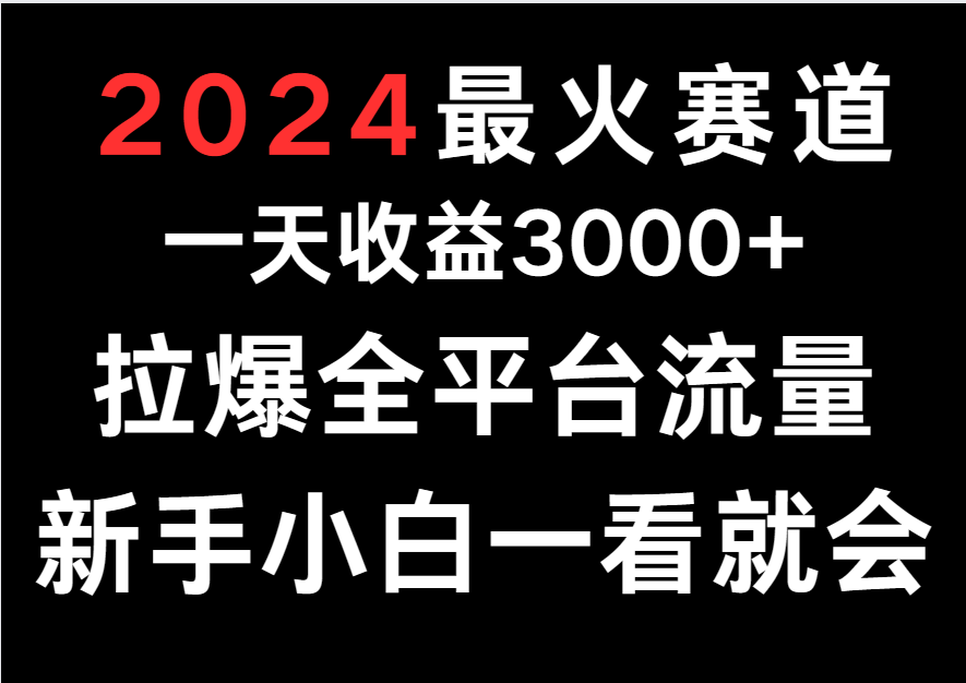 2024最火赛道，一天收一3000+.拉爆全平台流量，新手小白一看就会-生财有道