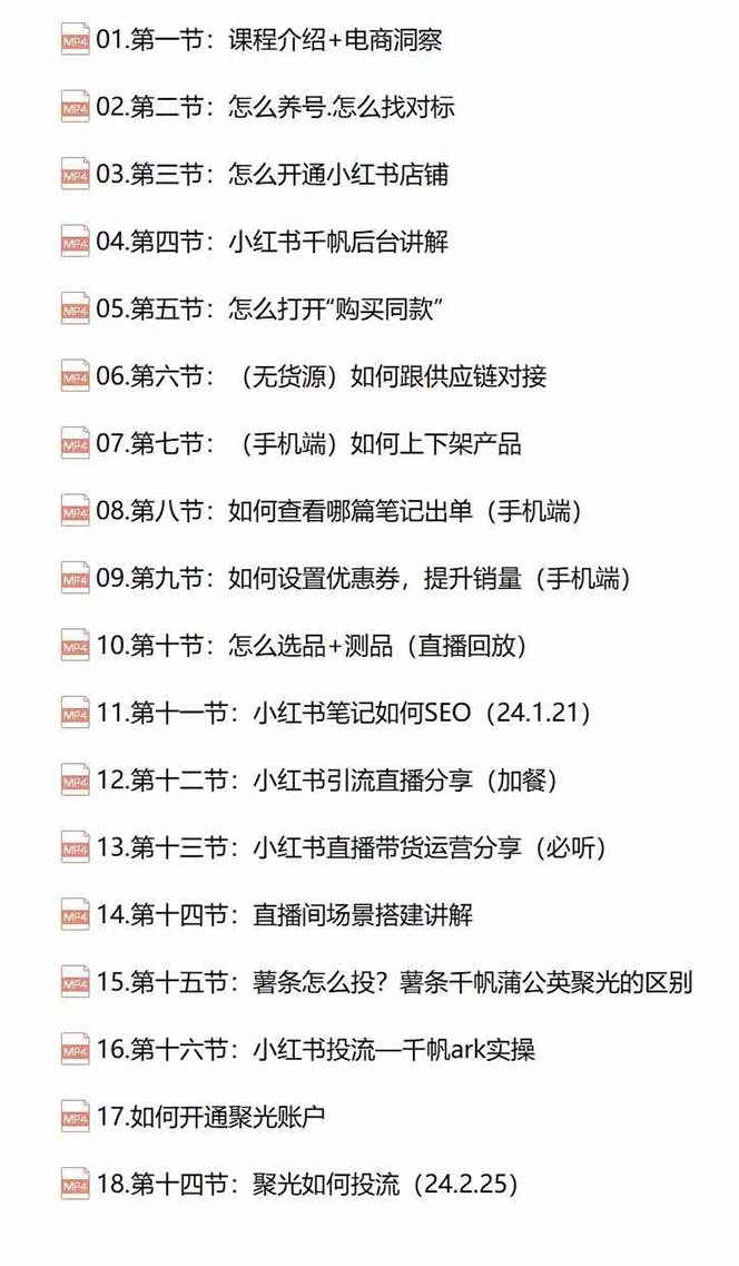 小红书快速赚钱电商特训营：用简单方式通过小红书快速变现！（55节）-生财有道