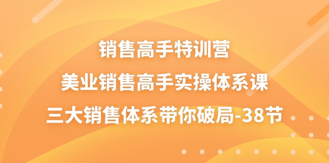 销售高手特训营，美业销售高手实操体系课，三大销售体系带你破局（38节）-生财有道