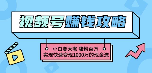 玩转微信视频号赚钱：小白变大咖涨粉百万实现快速变现1000万的现金流-生财有道