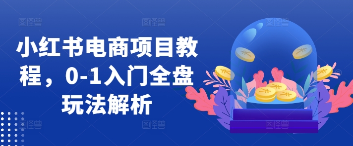 小红书电商项目教程，0-1入门全盘玩法解析——生财有道创业项目网-生财有道