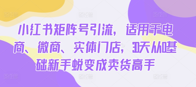 小红书矩阵号引流，适用于电商、微商、实体门店，30天从0基础新手蜕变成卖货高手——生财有道创业项目网-生财有道