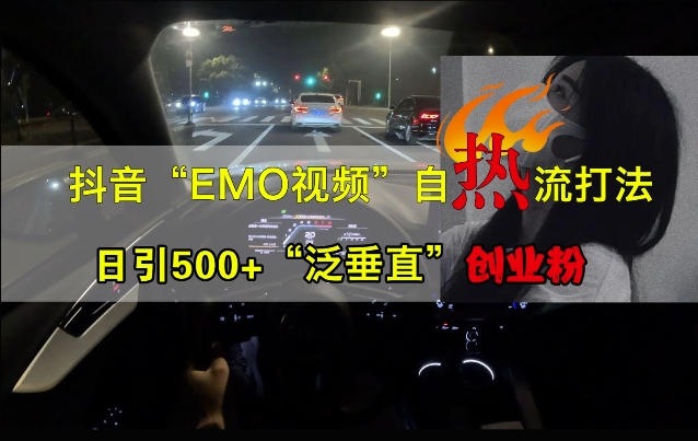 抖音EMO视频自热打法，日引500+“泛垂直”创业粉——生财有道创业项目网-生财有道