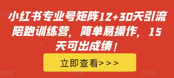 小红书专业号矩阵12+30天引流陪跑训练营，简单易操作，15天可出成绩!——生财有道创业项目网-生财有道