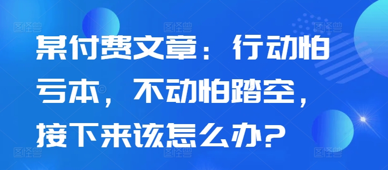 某付费文章：行动怕亏本，不动怕踏空，接下来该怎么办?——生财有道创业项目网-生财有道