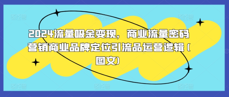 2024流量吸金变现，商业流量密码营销商业品牌定位引流品运营逻辑(图文)——生财有道创业项目网-生财有道